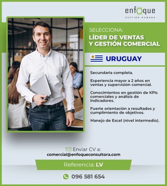 Líder de Ventas