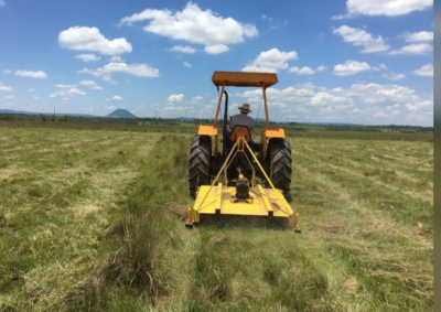 VENDO 90 HAS DE ESTANCIA FORMADA ZONA YBYCUI