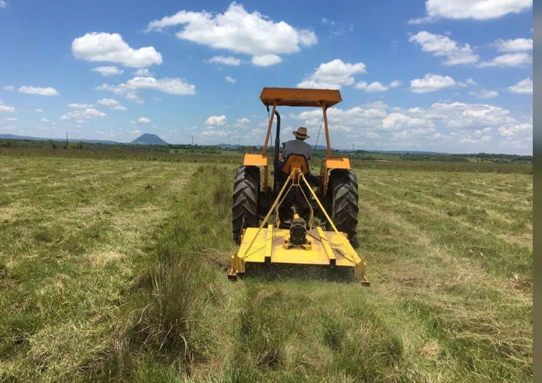 VENDO 90 HAS DE ESTANCIA FORMADA ZONA YBYCUI